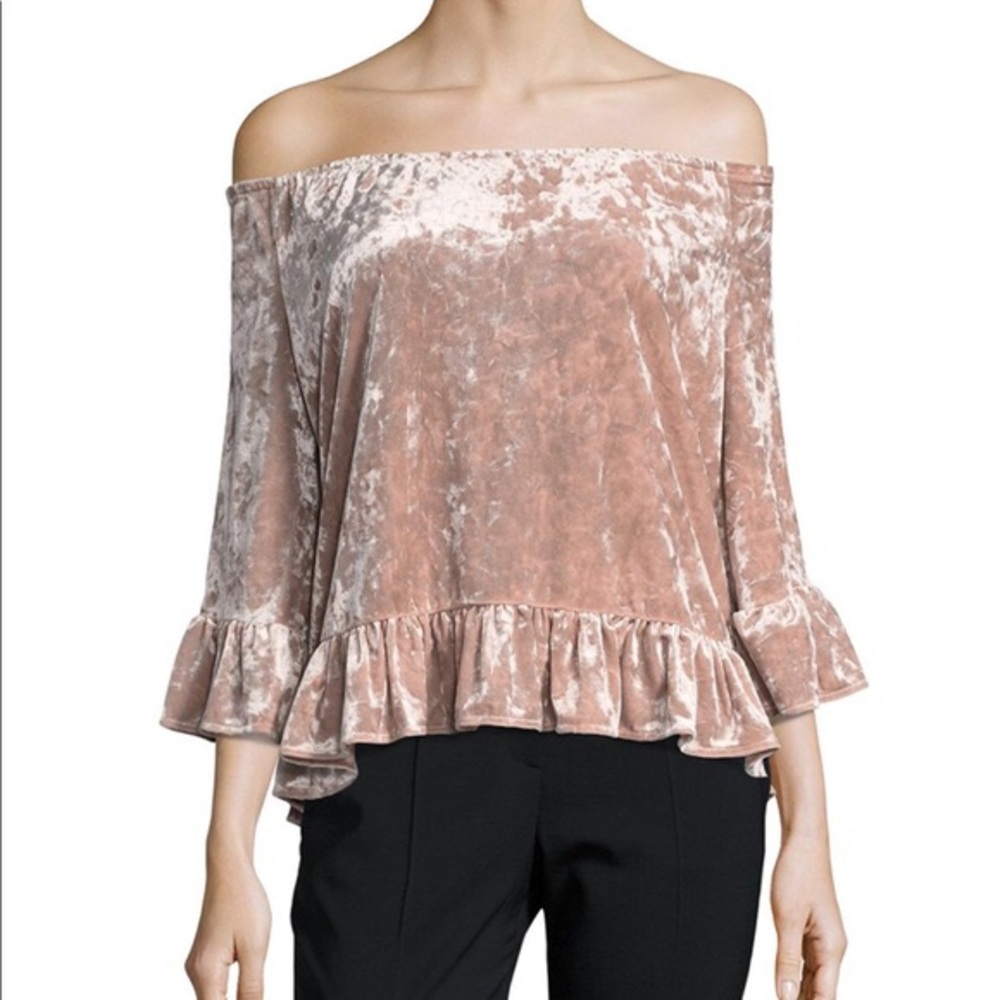 Sanctuar’y Crushed Velvet Top